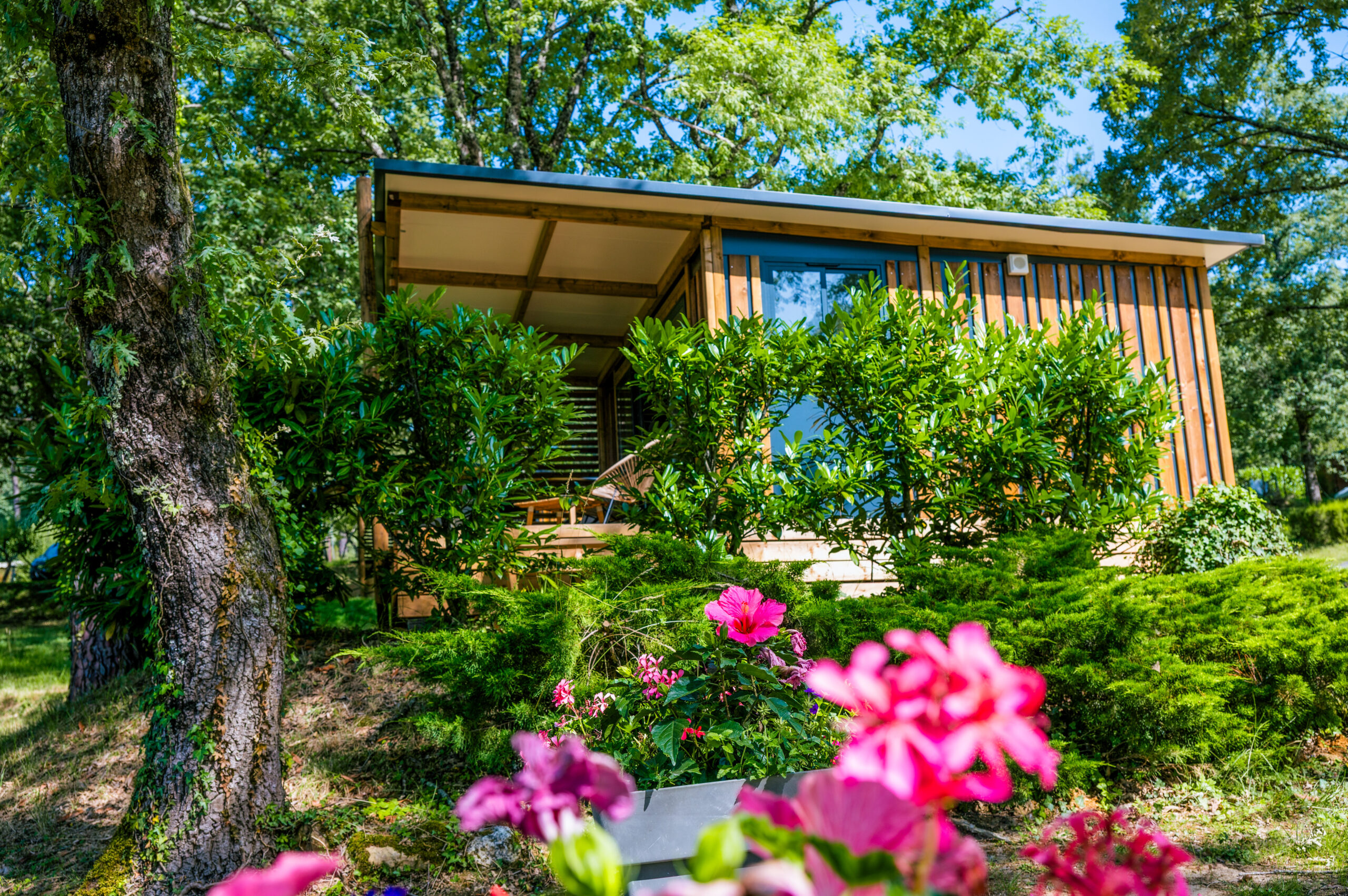 chalet premiun cosy Hébergement confortable en pleine nature en Dordogne